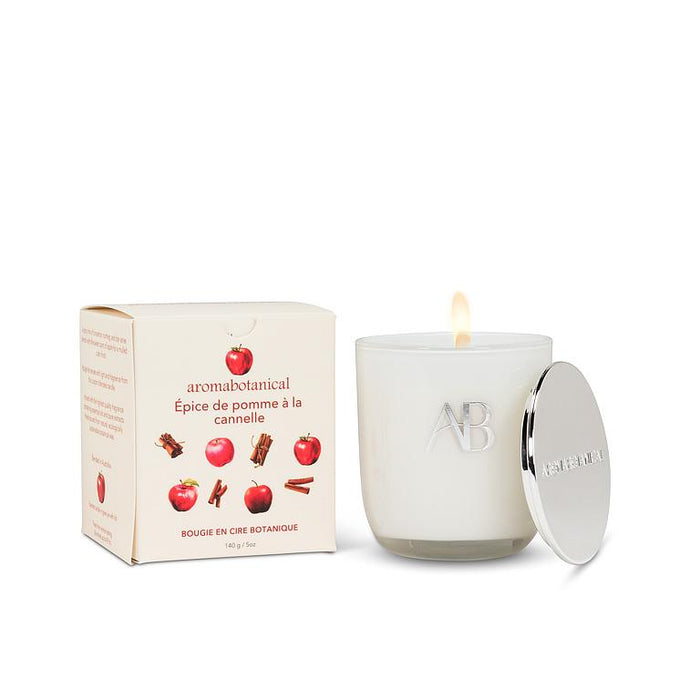 Cinnamon Apple Spice Scented Candle