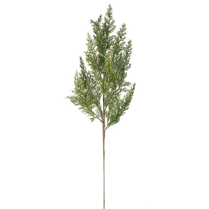 Realistic Cedar Spray