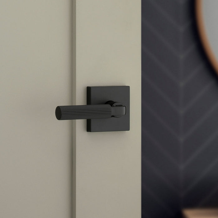 Weiser Mirada Privacy Lever - Privacy Lever