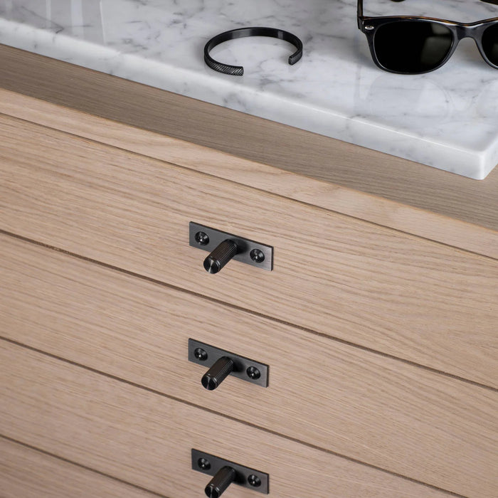 Buster + Punch Furniture Knob with Plate – Linear