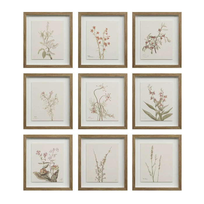 Renwil Crema 9-Piece Framed Botanical Wall Art Set