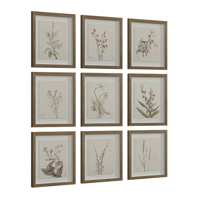 Renwil Crema 9-Piece Framed Botanical Wall Art Set