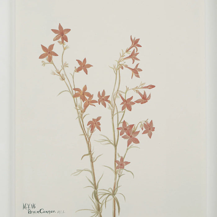 Renwil Crema 9-Piece Framed Botanical Wall Art Set