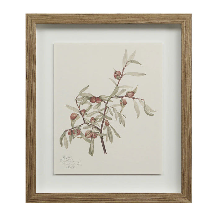 Renwil Crema 9-Piece Framed Botanical Wall Art Set
