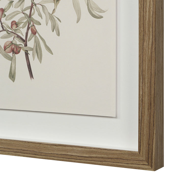 Renwil Crema 9-Piece Framed Botanical Wall Art Set