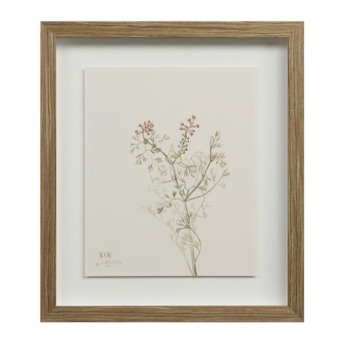 Renwil Crema 9-Piece Framed Botanical Wall Art Set