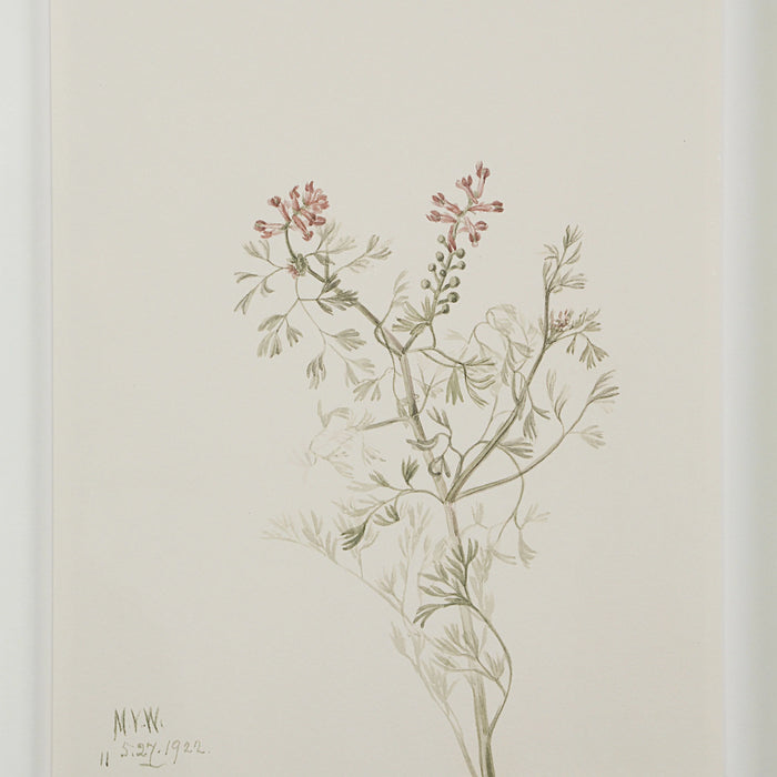 Renwil Crema 9-Piece Framed Botanical Wall Art Set