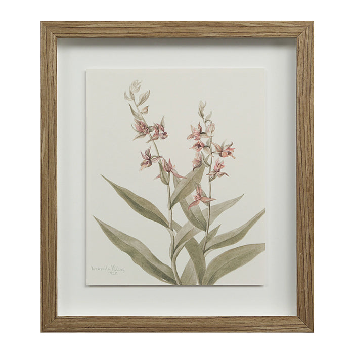Renwil Crema 9-Piece Framed Botanical Wall Art Set