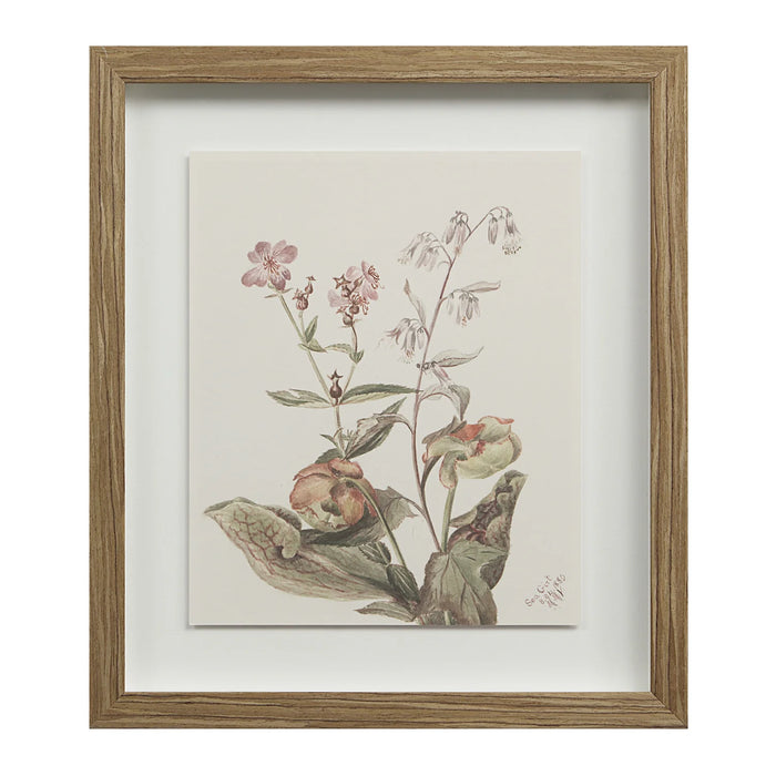 Renwil Crema 9-Piece Framed Botanical Wall Art Set