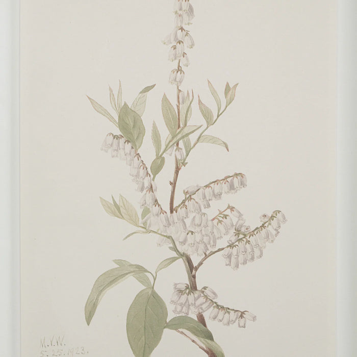Renwil Crema 9-Piece Framed Botanical Wall Art Set
