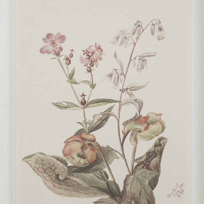 Renwil Crema 9-Piece Framed Botanical Wall Art Set
