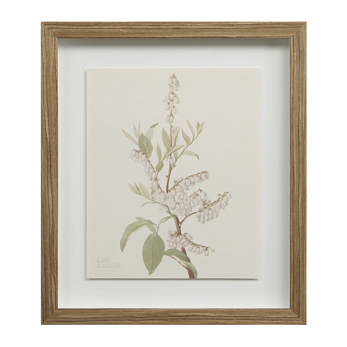 Renwil Crema 9-Piece Framed Botanical Wall Art Set