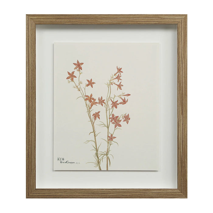 Renwil Crema 9-Piece Framed Botanical Wall Art Set