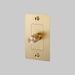 Buster + Punch 1-Gang Incandescent Dimmer Switch – Cross - Brass / With Logo - 1G Dimmers