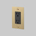 Buster + Punch 1-Gang Duplex Outlet – Linear - Brass / With Logo - 1G Duplex Outlets