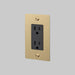 Buster + Punch 1-Gang Duplex Outlet – Linear - Brass / Without Logo - 1G Duplex Outlets