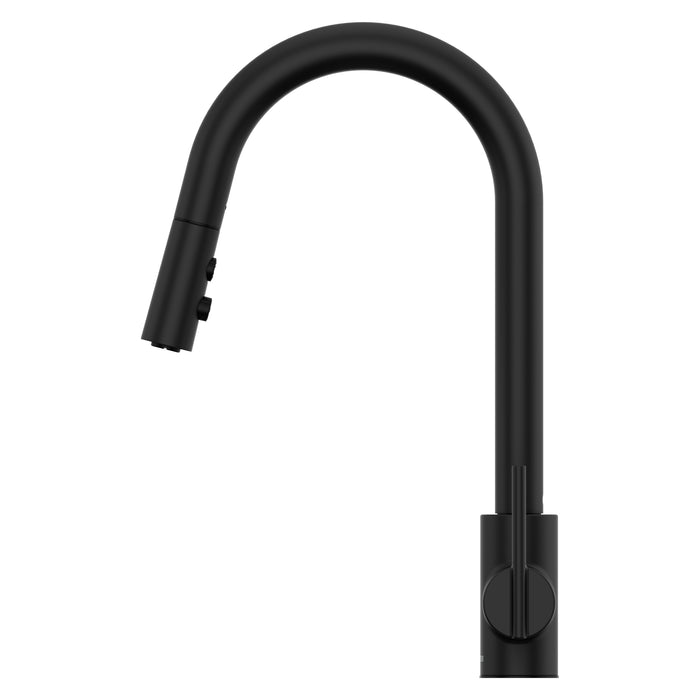 Brislin 1-Handle Pull-Down Kitchen Faucet - Pull-Down