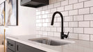 Brislin 1-Handle Pull-Down Kitchen Faucet - Pull-Down