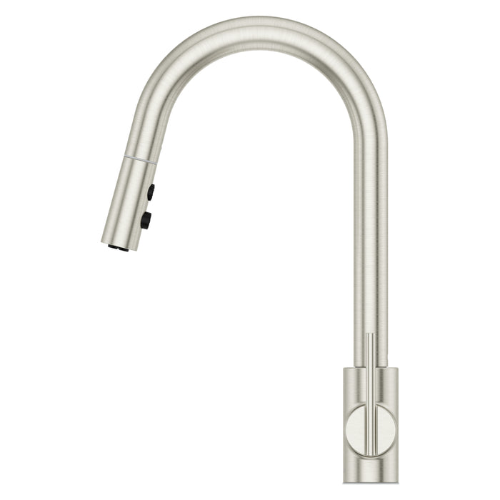 Brislin 1-Handle Pull-Down Kitchen Faucet - Pull-Down