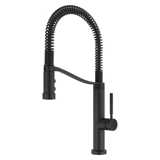 Bruton 1-Handle Pull-Down Kitchen Faucet - Matte Black - Pull-Down