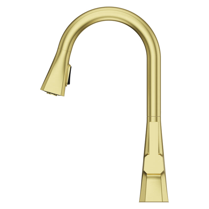 Frontera 1-Handle Pull-Down Kitchen Faucet - Pull-Down