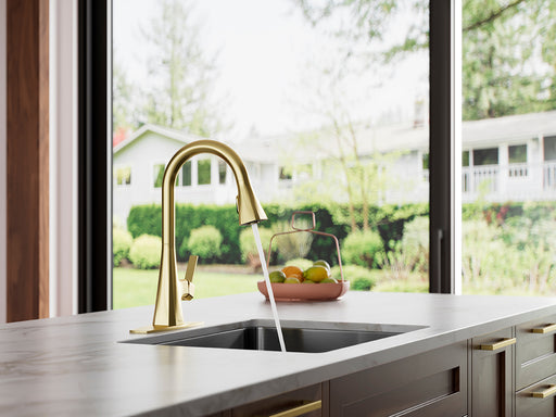 Frontera 1-Handle Pull-Down Kitchen Faucet - Pull-Down