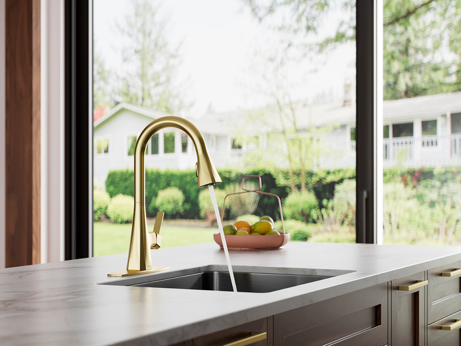 Frontera 1-Handle Pull-Down Kitchen Faucet - Pull-Down
