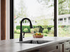 Frontera 1-Handle Pull-Down Kitchen Faucet - Pull-Down