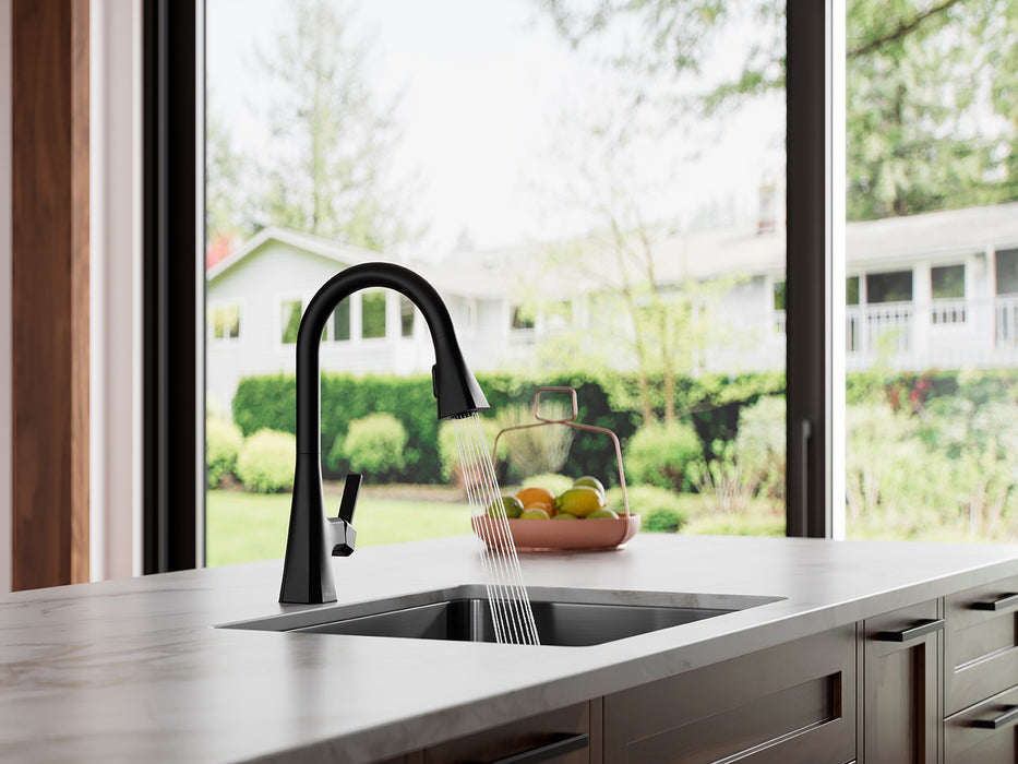 Frontera 1-Handle Pull-Down Kitchen Faucet - Pull-Down