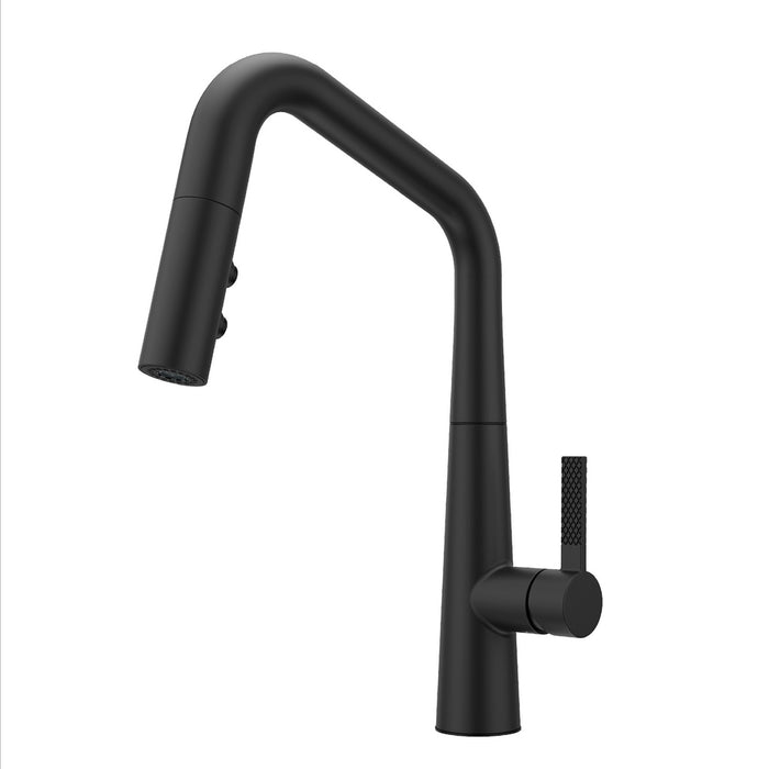 Asari 1-Handle Pull-Down Kitchen Faucet - Matte Black - Pull-Down
