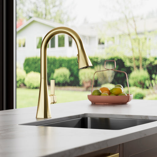 Frontera 1-Handle Pull-Down Kitchen Faucet - Pull-Down