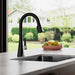 Frontera 1-Handle Pull-Down Kitchen Faucet - Pull-Down