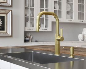 Find Your Pfister Kitchen Faucet