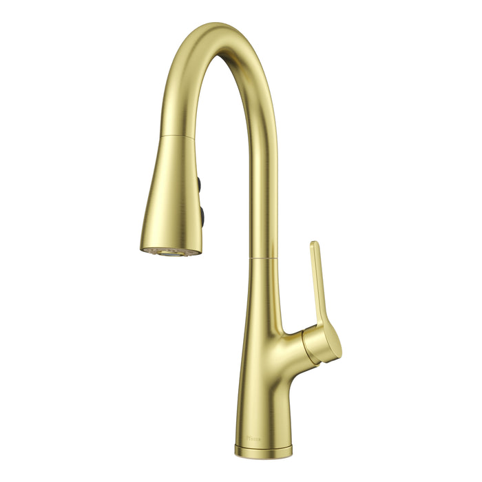 Neera 1-Handle Pull-Down Kitchen Faucet - Brushed Gold - Pull-Down