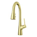 Neera 1-Handle Pull-Down Kitchen Faucet - Brushed Gold - Pull-Down