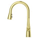 Neera 1-Handle Pull-Down Kitchen Faucet - Pull-Down