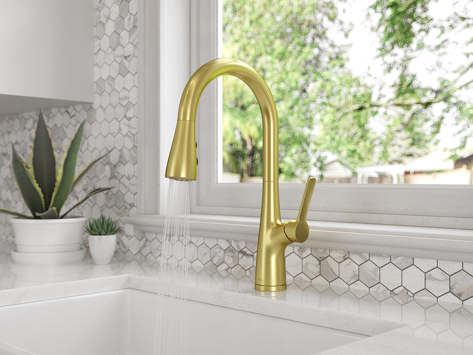 Neera 1-Handle Pull-Down Kitchen Faucet - Pull-Down