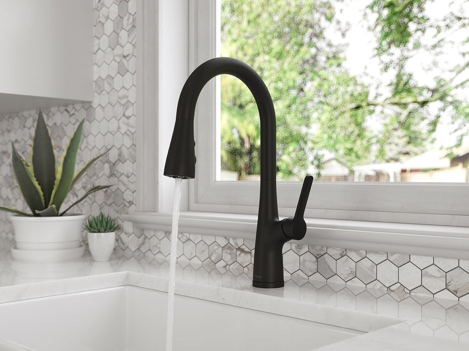 Neera 1-Handle Pull-Down Kitchen Faucet - Pull-Down