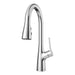 Neera 1-Handle Pull-Down Kitchen Faucet - Polished Chrome - Pull-Down