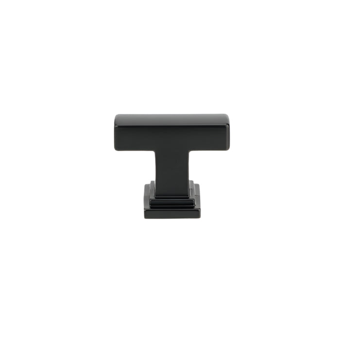 8645 Transitional Metal T-Knob