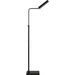 Black floor lamp on a white background