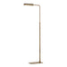 Antique brass reading  floor lamp on a white background