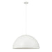 White pendant dome light on a white background