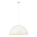 White pendant dome light on a white background