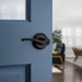 Sedona Entry Lever - Entry Lever
