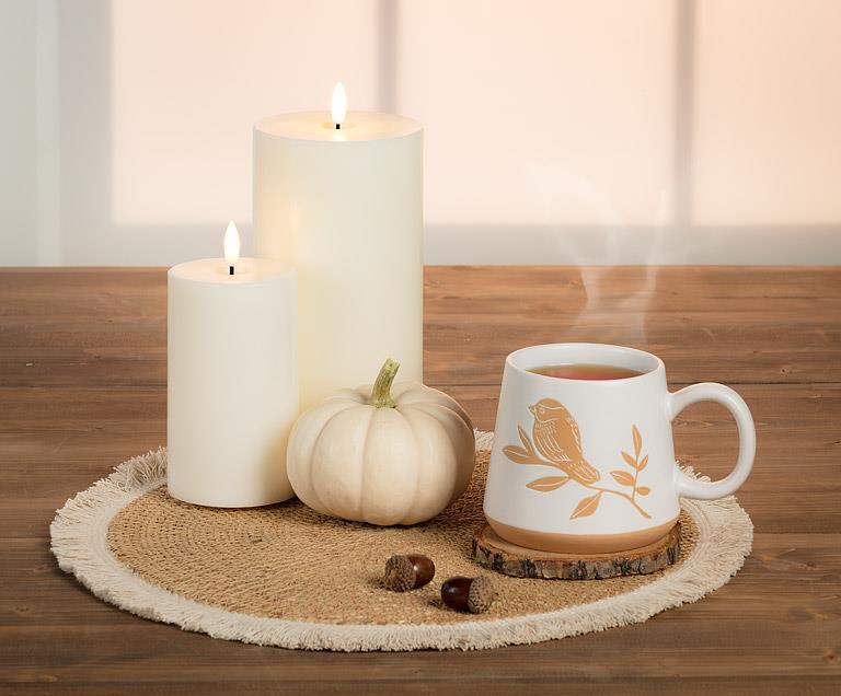 Bird and Branch stoneware mugs styled in a warm fall kitchen