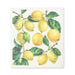 Abbott Lemons and Leaves reusable dishcloth featuring a detailed lemon branch illustration