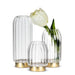 Abbott illuminated glass vase collection displayed with white flowers in a contemporary interior