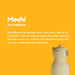 Mochi the Capybara character featured on the Asobu Bestie Bottle