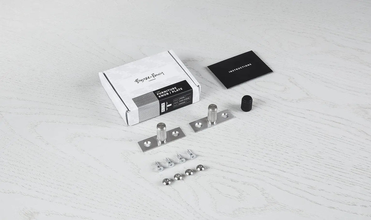 Buster + Punch Furniture Knob with Plate – Linear